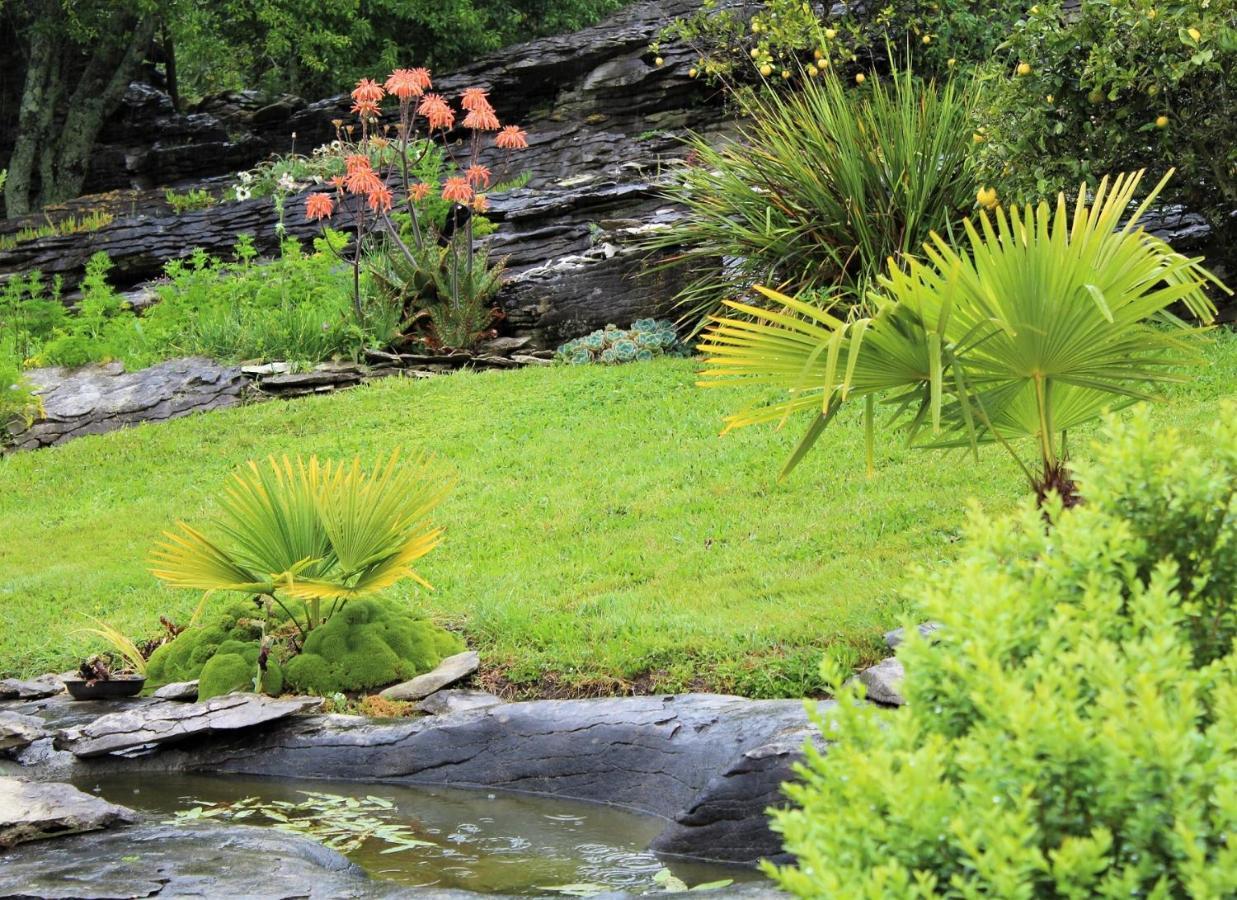 Labyrinth Gardens Guest House Takaka Exterior photo